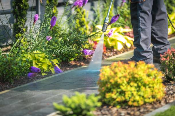 Best Restaurant Pressure Washing  in Mountain Brook, AL