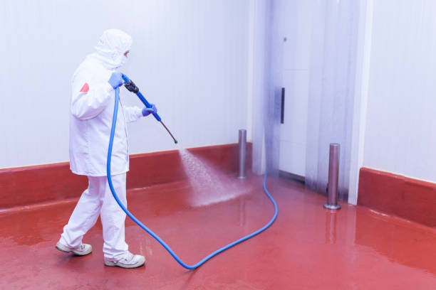 Best Building Exterior Washing  in Mountain Brook, AL
